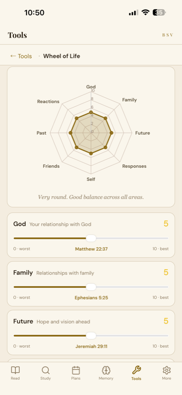 Wheel of Life self-evaluation tool