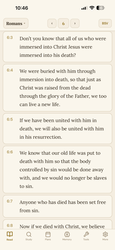 BSV Bible — Romans 6 reading view on iPhone